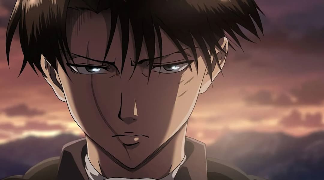 Levi